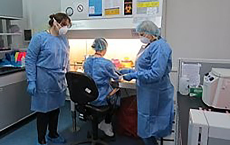 Biomanufacturing Certificate Program