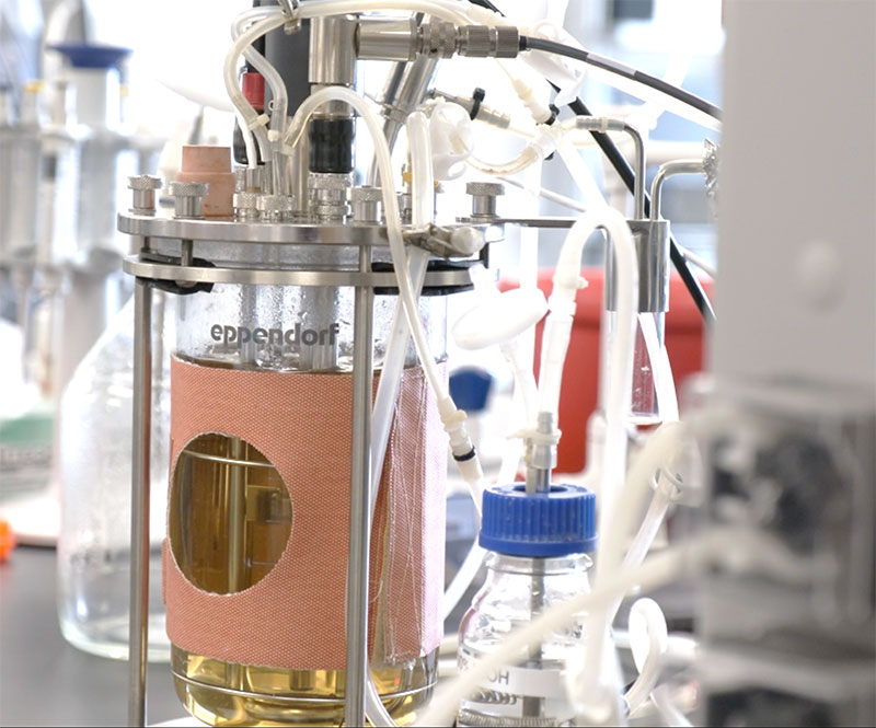 Biomanufacturing Certificate Program
